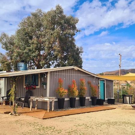 Finca Vidandrei Casa Eucalipto Valle de Guadalupe Ngoại thất bức ảnh