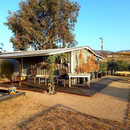 Finca Vidandrei Casa Eucalipto Valle de Guadalupe Ngoại thất bức ảnh