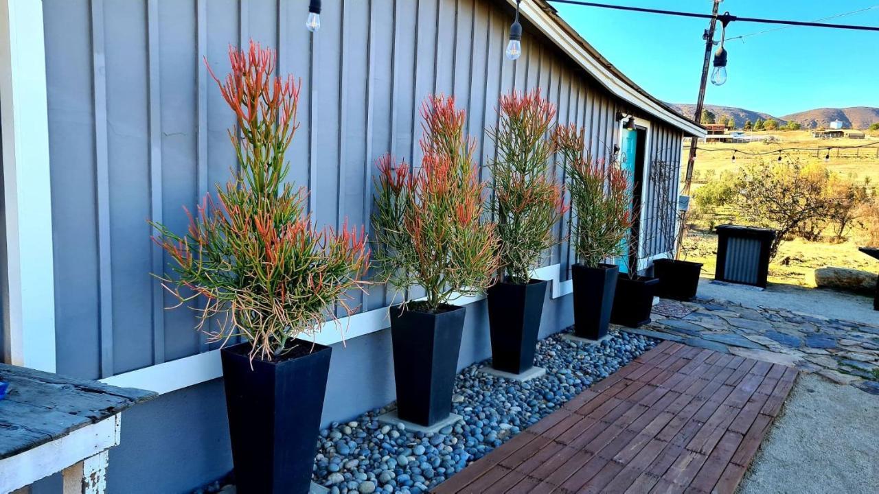 Finca Vidandrei Casa Eucalipto Valle de Guadalupe Ngoại thất bức ảnh