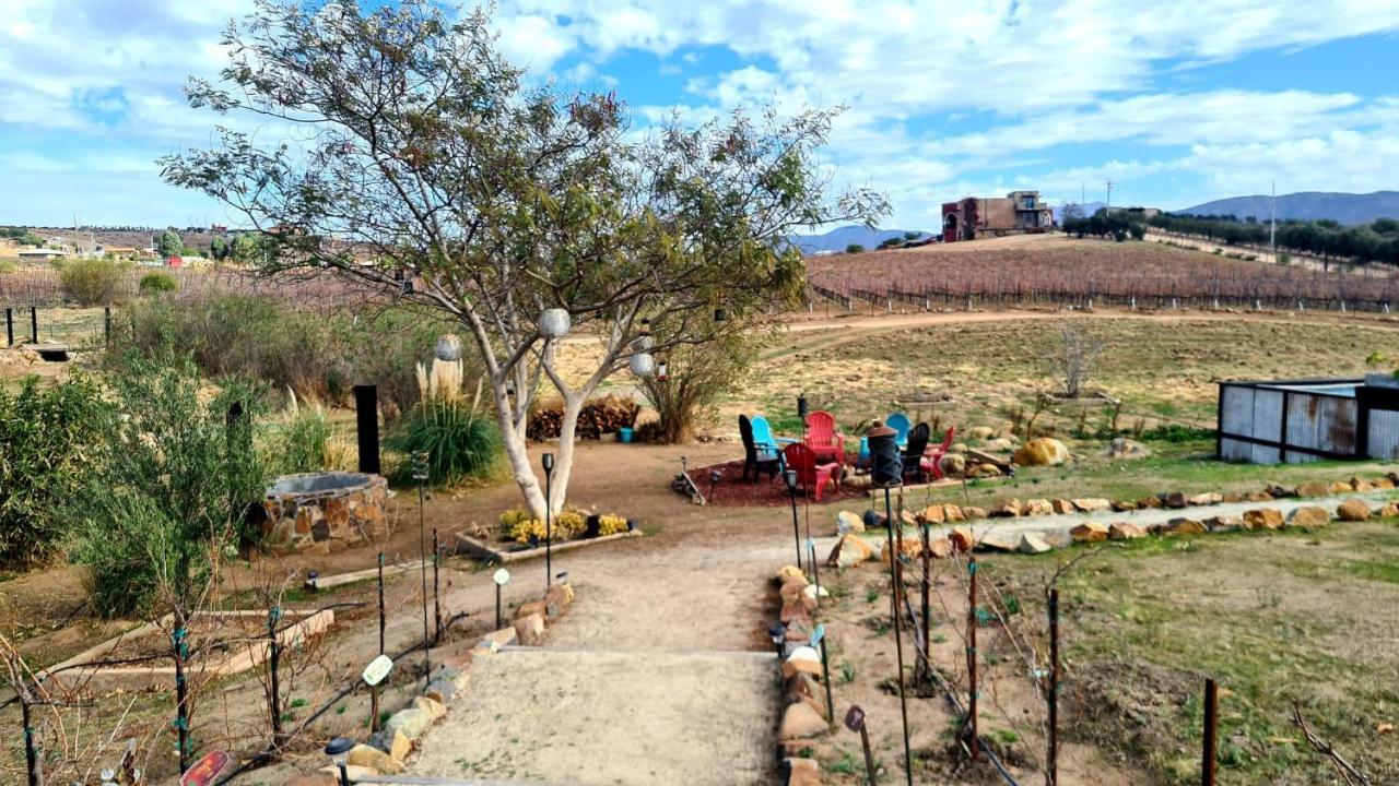Finca Vidandrei Casa Eucalipto Valle de Guadalupe Ngoại thất bức ảnh