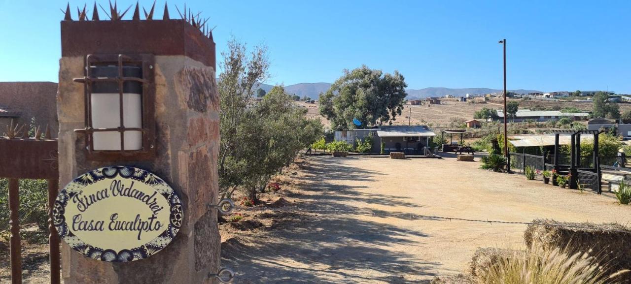 Finca Vidandrei Casa Eucalipto Valle de Guadalupe Ngoại thất bức ảnh