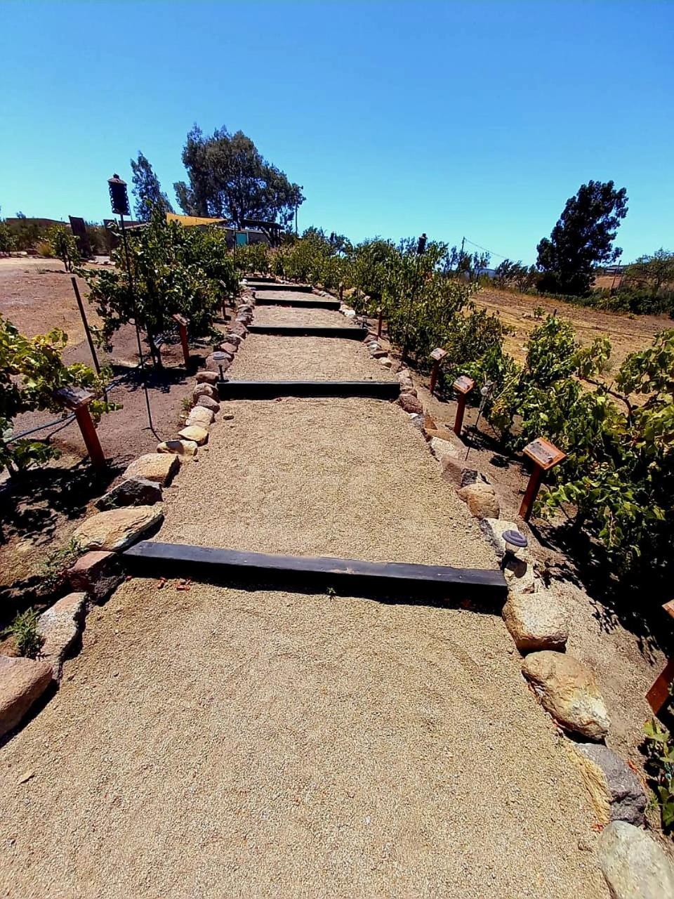 Finca Vidandrei Casa Eucalipto Valle de Guadalupe Ngoại thất bức ảnh