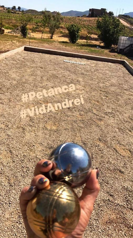 Finca Vidandrei Casa Eucalipto Valle de Guadalupe Ngoại thất bức ảnh