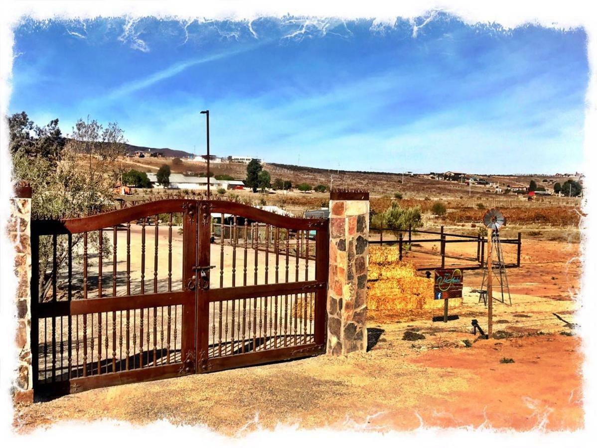Finca Vidandrei Casa Eucalipto Valle de Guadalupe Ngoại thất bức ảnh